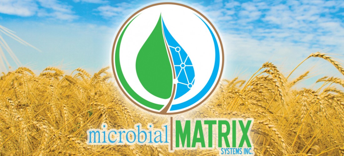 Microbial Matrix